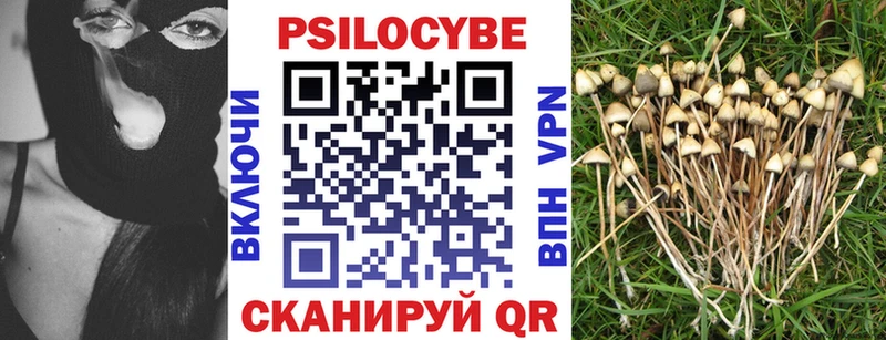 Галлюциногенные грибы прущие грибы Цоци-Юрт